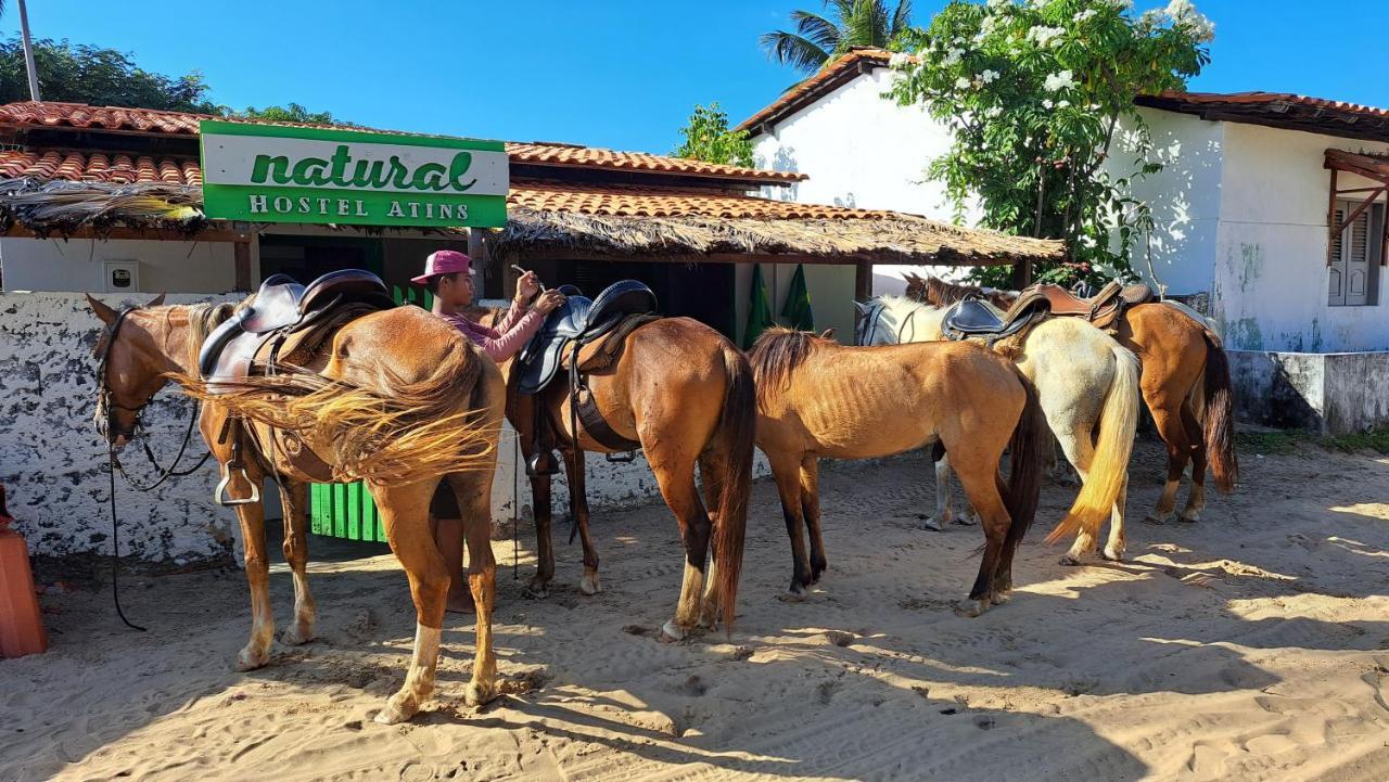 Natural Hostel อาชินส์ ภายนอก รูปภาพ